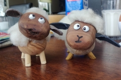 IMG_20200126_111310-scaled