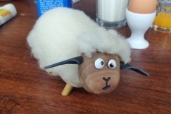 IMG_20200126_111325-scaled