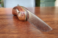 IMG_20200428_103447-scaled