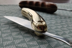 IMG_20200428_130757-scaled