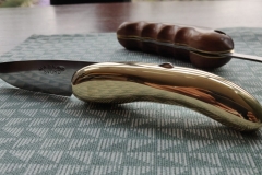 IMG_20200428_130912-scaled