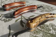 IMG_20200925_101917-scaled