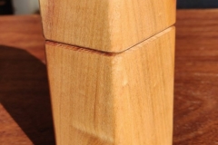 IMG_20210308_094934-scaled