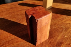 IMG_20210308_095134_Bokeh-scaled