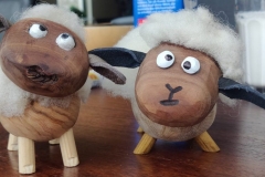 cropped-IMG_20200126_111310-scaled-1